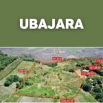 Classificados. Terrenos em Ubajara disponível para venda.